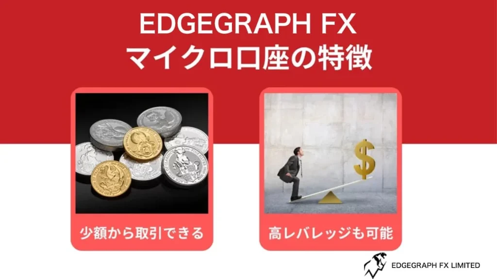 Features of the Micro Account