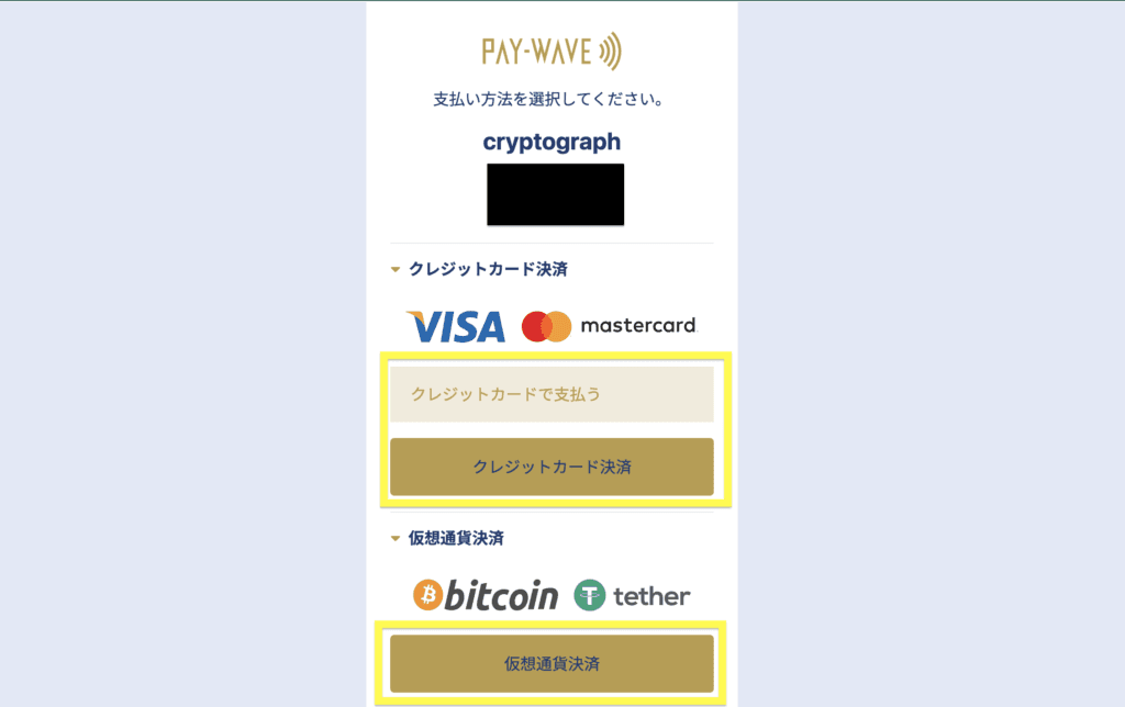 PAY WAVE Payment Page